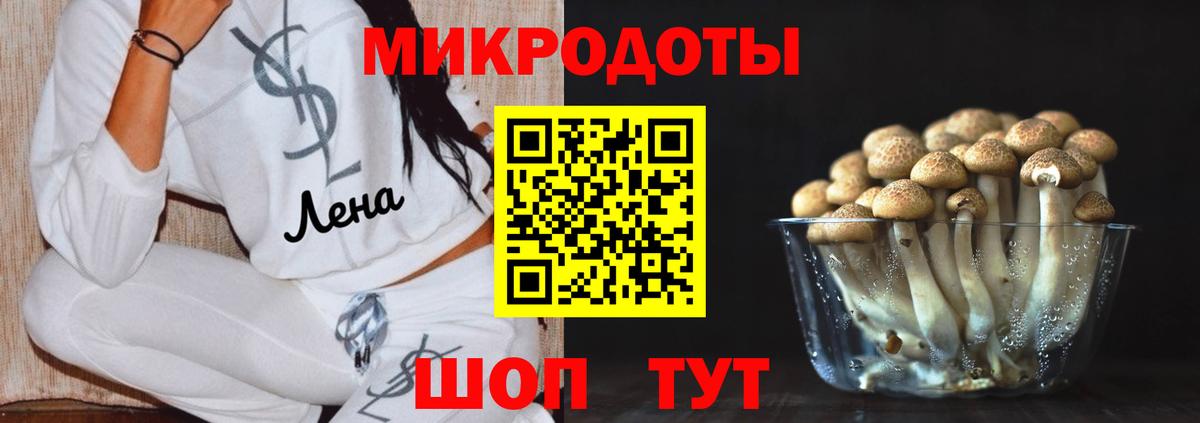 Артёмовский  Псилоцибиновые грибы Psilocybine cubensis  Вход с VPN 